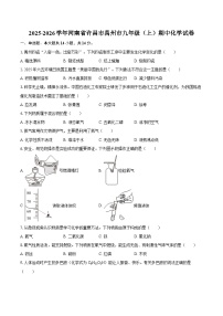 2025-2026学年河南省许昌市禹州市九年级（上）期中化学试卷-自定义类型