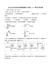 2025-2026学年贵州省黔东南州九年级（上）期中化学试卷-自定义类型