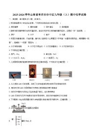 2025-2026学年山东省枣庄市市中区九年级（上）期中化学试卷（有答案和解析）