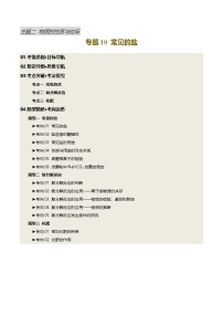 专题10 常见的盐（讲义）-【含答案】2025年中考化学一轮复习讲练测（全国通用）