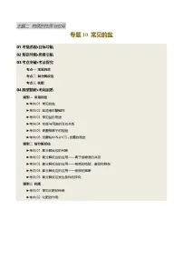 专题10 常见的盐（讲义）-【含答案】2025年中考化学一轮复习讲练测（全国通用）