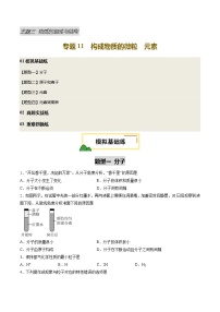 专题11 构成物质的微粒 元素（练习）-【含答案】2025年中考化学一轮复习讲练测（全国通用）