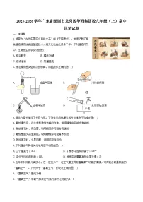 2025-2026学年广东省深圳市龙岗区华附集团校九年级（上）期中化学试卷（含答案）
