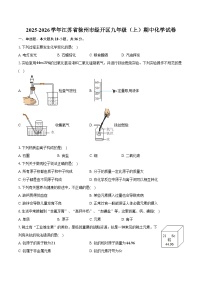 2025-2026学年江苏省徐州市经开区九年级（上）期中化学试卷（含答案）