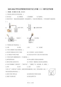 2025-2026学年江苏省徐州市经开区九年级（上）期中化学试卷（含答案）