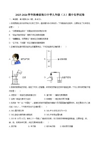 2025-2026学年海南省海口中学九年级（上）期中化学试卷-自定义类型