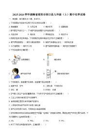 2025-2026学年湖南省邵阳市洞口县九年级（上）期中化学试卷-自定义类型