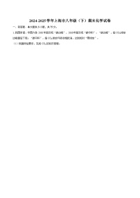 2024-2025学年上海市八年级（下）期末化学试卷-自定义类型