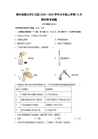 贵州省遵义市汇川区2024--2025学年九年级上学期12月期末联考化学试卷（学生版）