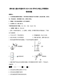 贵州省六盘水市盘州市2024-2025学年九年级上学期期末检测化学试卷（学生版）