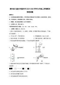 贵州省六盘水市盘州市2024-2025学年九年级上学期期末检测化学试卷（学生版）
