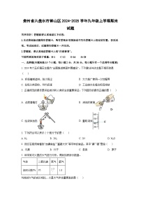 贵州省六盘水市钟山区2024-2025学年九年级上学期期末化学试卷（学生版）
