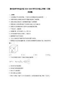 贵州省毕节市金沙县2024-2025学年九年级上学期1月期末化学试卷（学生版）