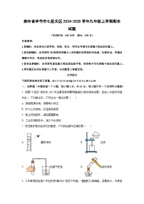 贵州省毕节市七星关区2024-2025学年九年级上学期期末化学试卷（学生版）