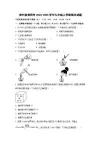 贵州省贵阳市2024-2025学年九年级上学期期末化学试卷（学生版）