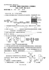 上海市民办南模中学2025-2026学年九年级上学期12月月考化学试卷（月考）