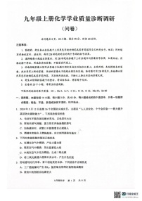 广东省广州市白云区2024-2025学年九年级上学期期末考试化学试卷