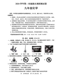 广东省广州市从化区2024-2025学年九年级上学期期末考试化学试题
