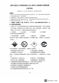 广东省惠州市惠城区第五中学教育集团2024-2025学年九年级上学期期末考试化学试卷