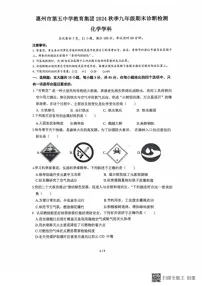 广东省惠州市惠城区第五中学教育集团2024-2025学年九年级上学期期末考试化学试卷
