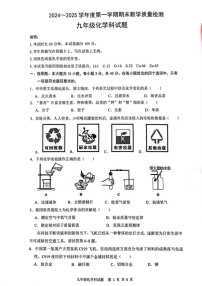 广东省清远市清新区2024-2025学年九年级上学期1月期末考试化学试题