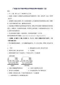 广东省2025年初中学业水平考试化学中考总复习（五）-含答案