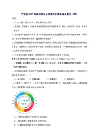 广东省2025年初中学业水平考试化学总复习（四）-含答案