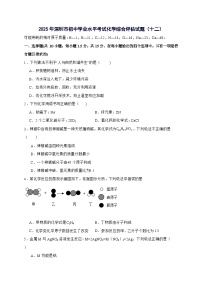 广东省深圳市2025年初中学业水平考试化学综合评估试卷（十二）-含答案