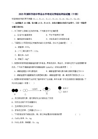 广东省深圳市2025年初中学业水平考试化学综合评估试卷（十四）-含答案