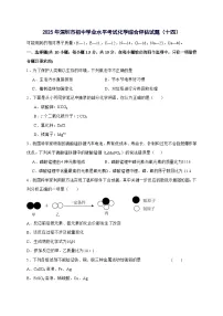 广东省深圳市2025年初中学业水平考试化学综合评估试卷（十四）-含答案