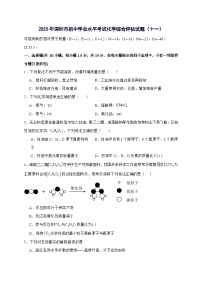 广东省深圳市2025年初中学业水平考试化学综合评估试卷（十一）-含答案