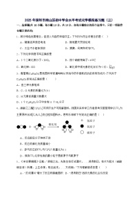 广东省深圳市南山区2025年初中学业水平考试化学模拟练习题（三）-含答案