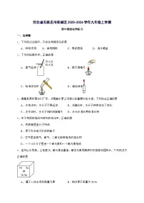 河北省石家庄市栾城区2025_2026学年九年级上册期中模拟化学练习（含答案）