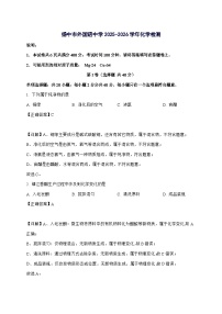 江苏省扬中市外国语中学2025_2026学年九年级上册10月月考化学试题-附解析