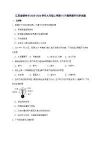 江苏省扬州市2026届九年级上册10月月考化学试题-附答案