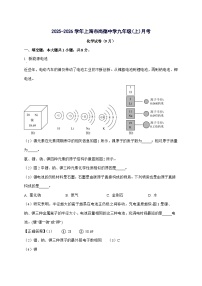 上海市民办尚德实验学校2025_2026学年九年级上册9月月考化学试题-附解析