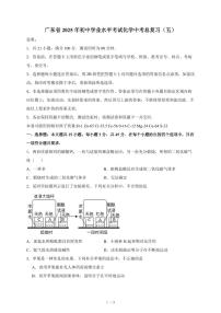 广东省2025年初中学业水平考试化学中考总复习（五）（含答案）