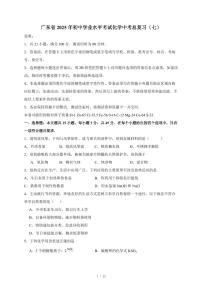 广东省2025年初中学业水平考试中考化学总复习（七）（含答案）