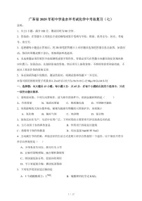 广东省2025年初中学业水平考试中考化学总复习（七）（含答案）