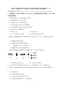 广东省深圳市2025年初中学业水平考试化学综合评估试卷（十二）（含答案）