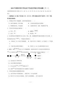 广东省深圳市2025年初中学业水平考试化学综合评估试卷（十一）（含答案）