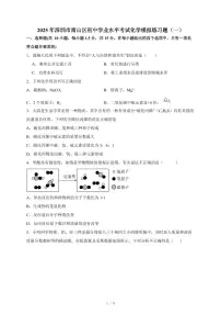 广东省深圳市南山区2025年初中学业水平考试化学模拟练习题(一)(含答案)