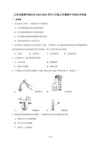 山东省淄博市桓台县（五四学制）2024-2025学年八年级上学期期中考试化学试卷（含答案）