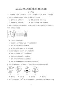 安徽省合肥市西苑中学2025~2026学年九年级上学期期中模拟化学试卷（含答案）