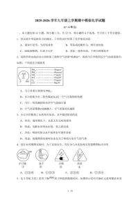 安徽省合肥市西苑中学2025~2026学年九年级上学期期中模拟化学试卷（含答案）