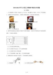 安徽省合肥市颐和中学2025~2026学年九年级上学期期中模拟化学试卷（含答案）