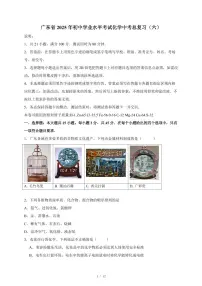 广东省2025年初中学业水平考试化学中考总复习（六）（含答案）