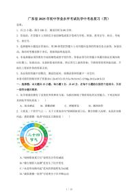 广东省2025年初中学业水平考试化学总复习（四）（含答案）