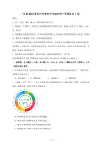 广东省2025年初中学业水平考试化学总复习（四）（含答案）