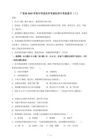 广东省2025年初中学业水平考试中考化学总复习（二）（含答案）
